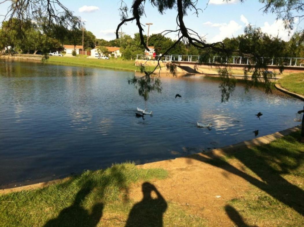 Oasis Near Dfw Airport With Mediterranean Setting Irving Dış mekan fotoğraf